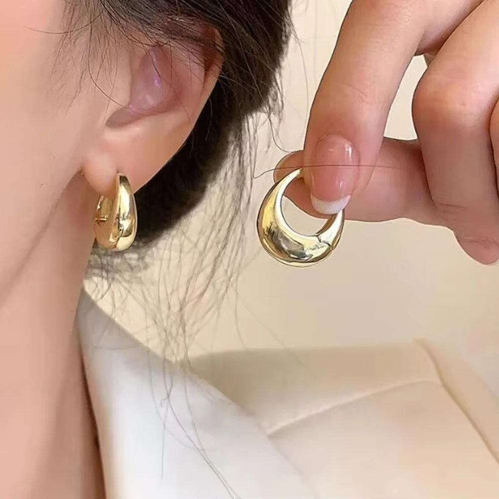 Chunky Stainless Steel Hoop Earrings – Gold & Silver