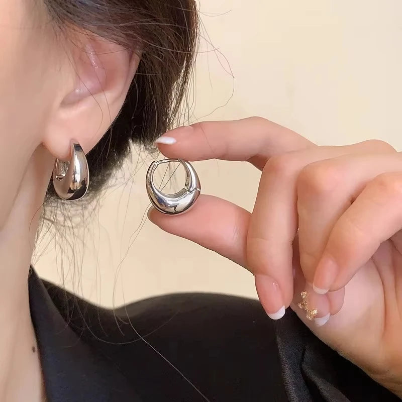 Chunky Stainless Steel Hoop Earrings – Gold & Silver