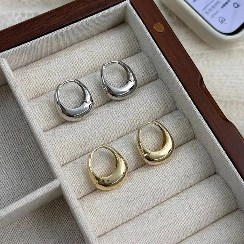 Chunky Stainless Steel Hoop Earrings – Gold & Silver