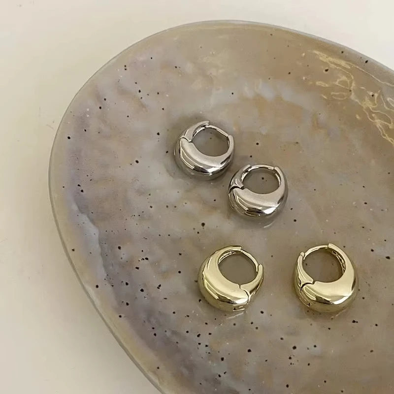 Chunky Stainless Steel Hoop Earrings – Gold & Silver