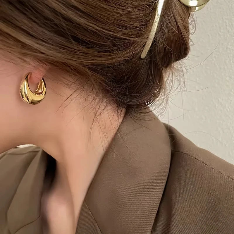 Chunky Stainless Steel Hoop Earrings – Gold & Silver
