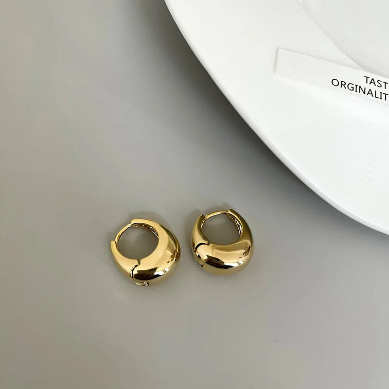 Chunky Stainless Steel Hoop Earrings – Classic Minimalist Style