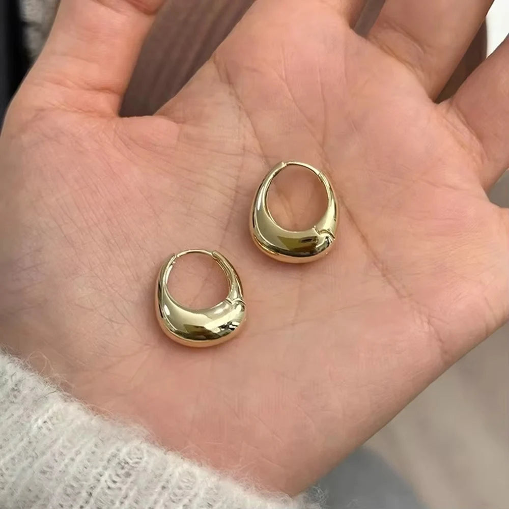 Chunky Stainless Steel Hoop Earrings – Gold & Silver