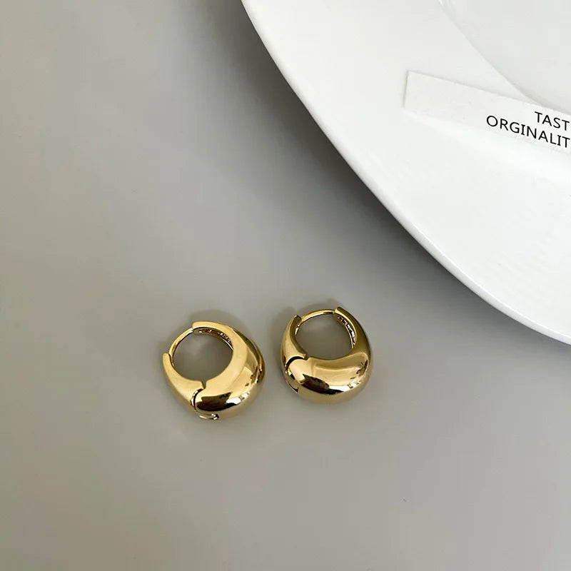 Chunky Stainless Steel Hoop Earrings – Classic Minimalist Style